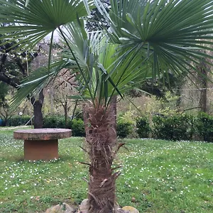 Irene Locanda